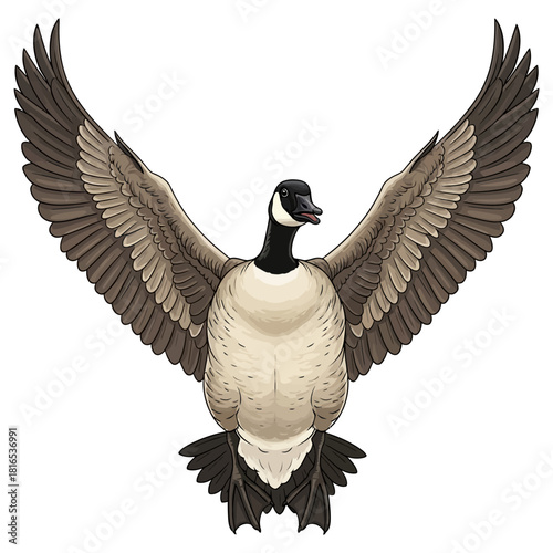 canadian goose duck hunting illustration logo vector image t shirt