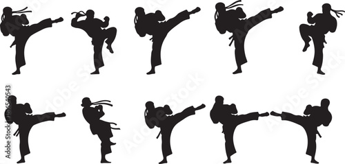 Set of black silhouettes of martial arts practitioners performing various high kicking techniques on vector transparent background