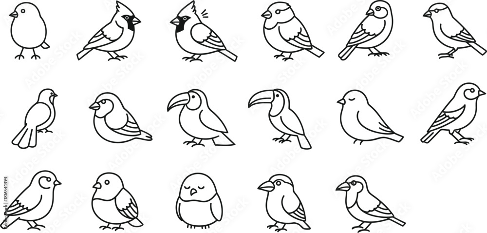 Fototapeta premium Collection of various bird species line art illustrations