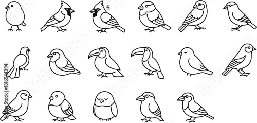 Collection of various bird species line art illustrations
