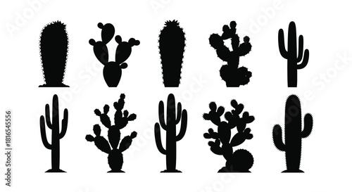 Silhouettes of various desert cacti presented in a minimalist black and white style