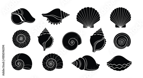 Collection of black silhouette seashells arranged in a grid pattern