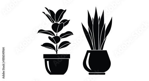Two potted plants in black silhouette a simple botanical illustration