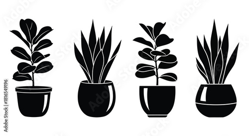 Two potted plants in black silhouette a simple botanical illustration