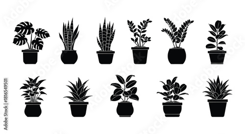 A collection of various potted indoor plants in a black and white style