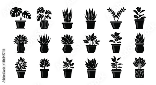 A collection of various potted indoor plants in a black and white style