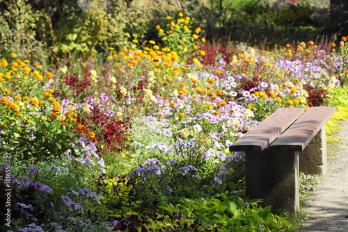 Ein hübsches Blumenmeer mit einer Bank