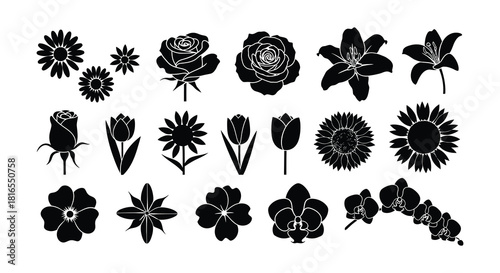 A collection of various black silhouette floral designs and blossom shapes