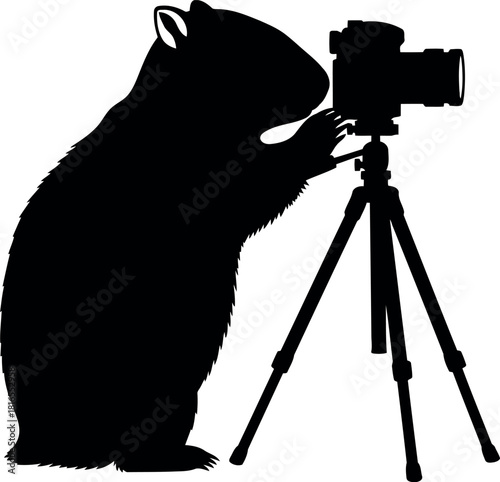 Hamster photographer silhouette with camera and tripod