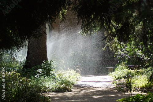 Ein Baum neben einer Sprinkleranlage
