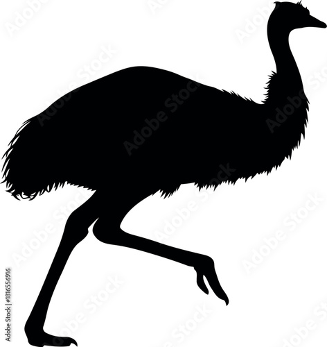 Emu silhouette walking black