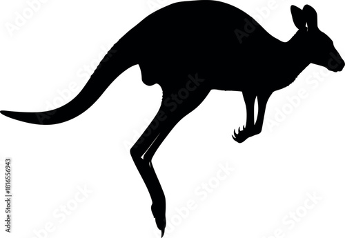 Silhouette kangaroo jumping australia wildlife icon