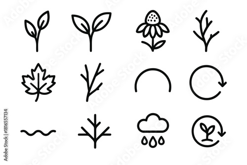 Botanical Icon Cycle. Botanical Season Cycle Icons linear icon set: spring bud, early leaf, midsummer blossom, late-summer seed head, fall foliage, bare twig, seasonal arc, growth