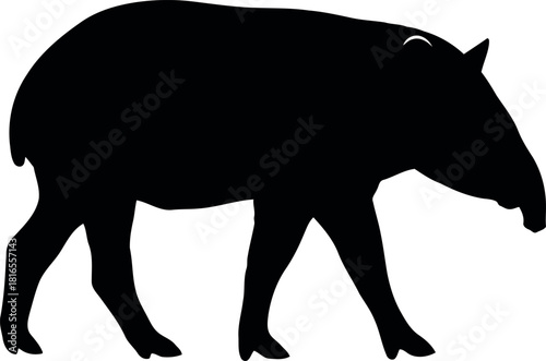 Tapir silhouette wildlife animal icon