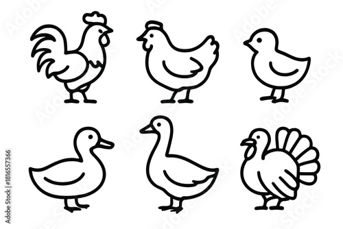 Poultry Icon Set. Poultry Group linear icon set. rooster, hen, chick, duck, goose, turkey