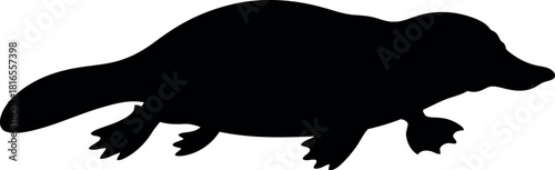 Platypus silhouette vector