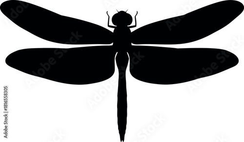 Black dragonfly silhouette elegant insect vector art