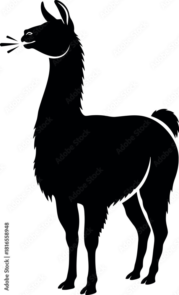 Obraz premium Black llama silhouette minimalist animal vector