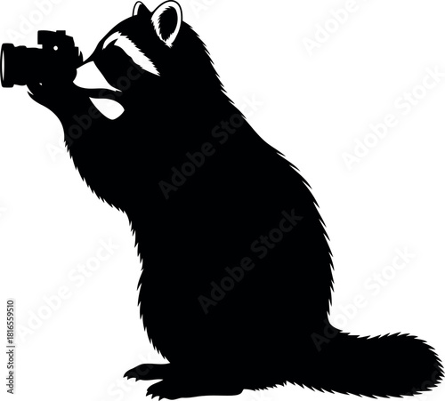 Raccoon silhouette with camera