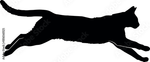 Black cat silhouette running dynamic motion