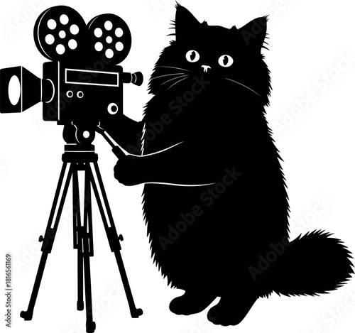 Black cat filming vintage camera