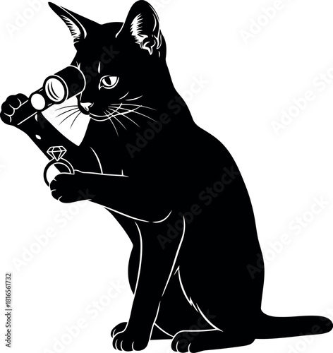 Black cat with binoculars curious exploration