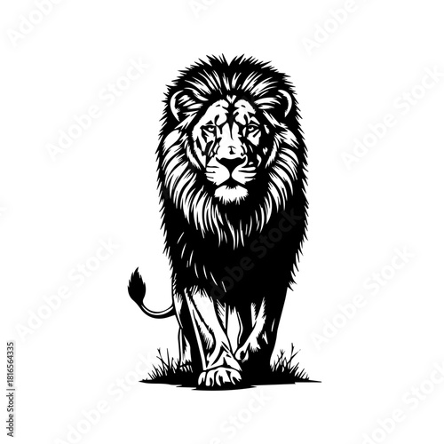 Powerful black and white illustration of a majestic lion with a full mane walking forward, looking directly at the viewer, standing on a patch of grass.