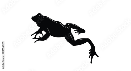 Frog silhouette on white background