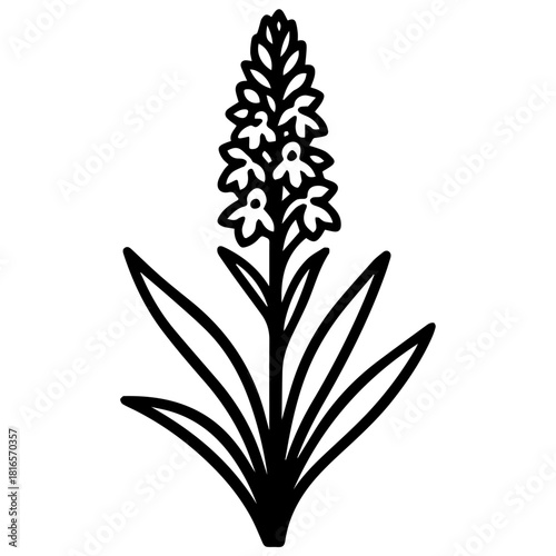Minimalist line drawing of a hyacinth flower spike with small blossoms and long strap-like leaves, a clean botanical icon on a white background—great for stickers, logos, and spring-themed designs.