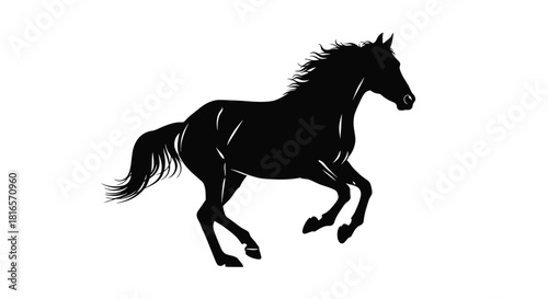 Horse running silhouette
