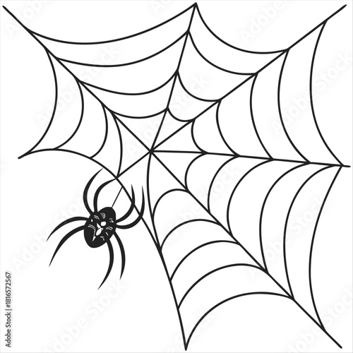 Linear sketch of a corner web with a spider silhouette vector on a white background