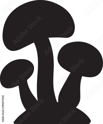 Group of fresh edible mushrooms isolated on white background