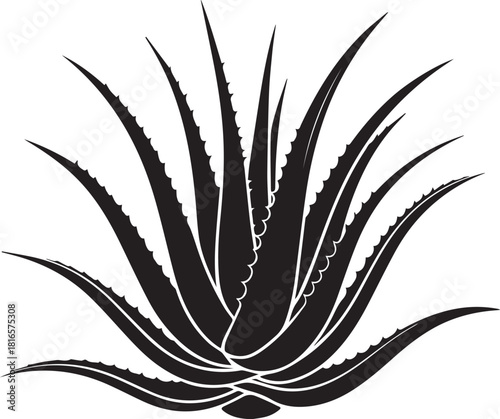 Green aloe vera plant vector illustration with simple cactus-style leaves