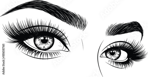 Eye illustration, human eyes, black and white, realistic lashes, eyebrow detail, expressive gaze, beauty art, glamour sketch, portrait focus, artistic drawing