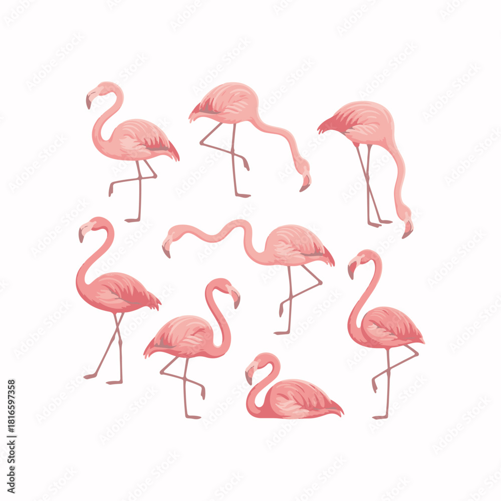 Fototapeta premium Set of pink flamingos isolated on white background vector illustration