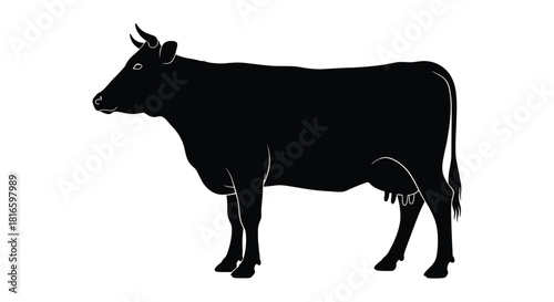 Cow silhouette isolated on white background
