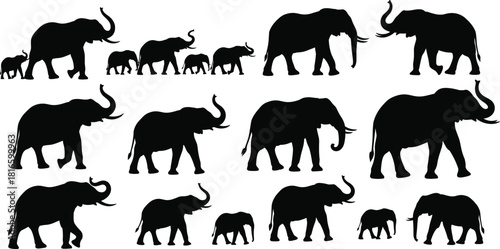 Elephant silhouette collection, wildlife illustration, animal poses, walking elephant, standing elephant, raising trunk, calf and adult, safari nature, jungle - flat vector