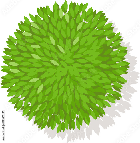 Adobe Illustrator Artwork