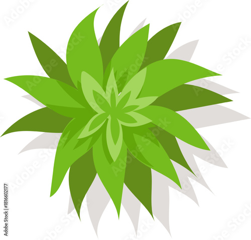 Adobe Illustrator Artwork