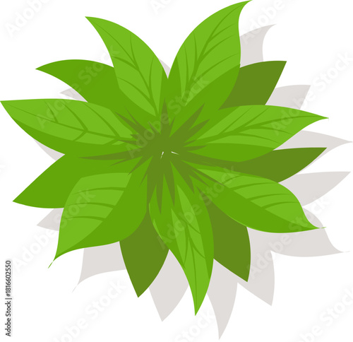 Adobe Illustrator Artwork