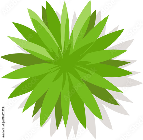 Adobe Illustrator Artwork