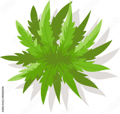 Adobe Illustrator Artwork