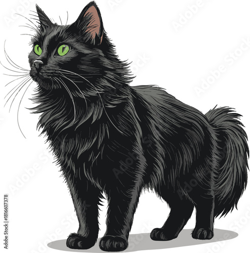 vector illustration of a black cat white color background




