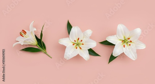 A seamless pattern featuring elegant white lilies and green leaves on a pastel background for textile design ,wallpaper ,decorative art ,fabric