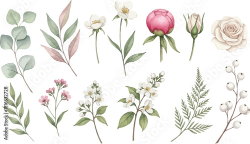 Beautiful watercolor floral botanical elements illustration set, featuring delicate flowers, green leaves, and berries, perfect for wedding invitations and spring designs, isolated on white.