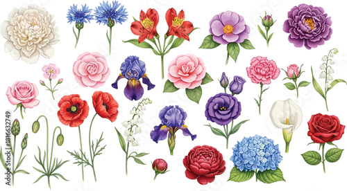 Beautiful Watercolor Collection of Diverse Spring and Summer Flowers, Including Roses, Peonies, Irises, Poppies, and Lilies, Isolated on White Background for Botanical Design Elements