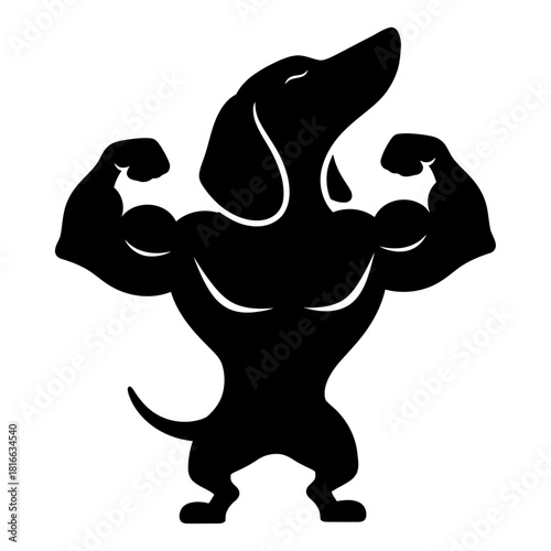 Flexing dachshund muscular dog silhouette vector illustration for gym mascot branding