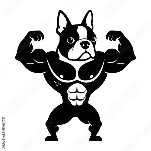 Strong Boston dog flexing powerful muscular physique silhouette vector bodybuilding mascot