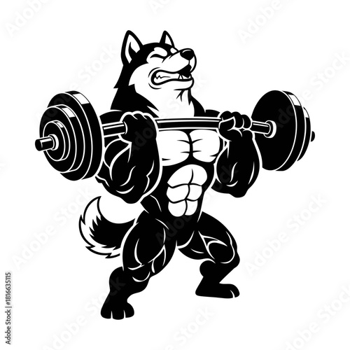 Husky dog lifting heavy barbell in powerful muscular gym workout mascot silhouette vector art