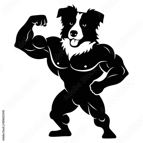 Muscular border collie flexing arms silhouette vector strong gym fitness mascot illustration